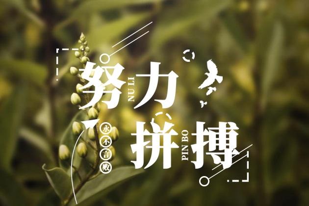  給我一份信任，還你10分滿意