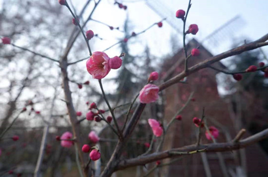 雨水降，萬(wàn)物蘇